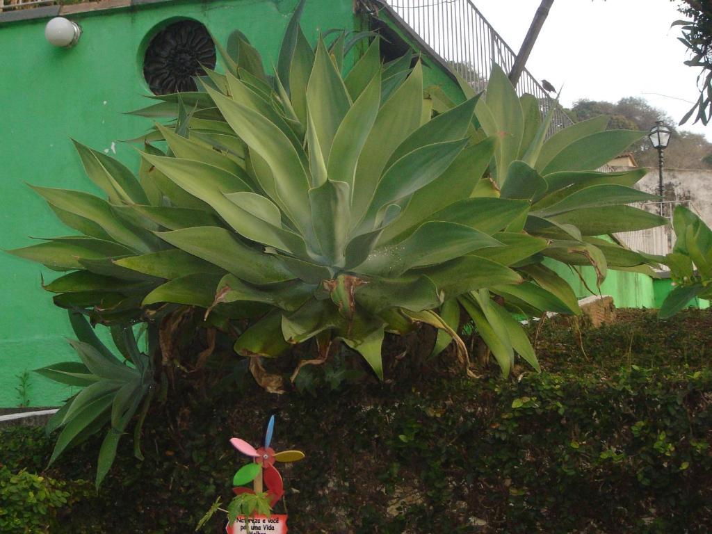 Pousada Xato Miguel Pereira Luaran gambar