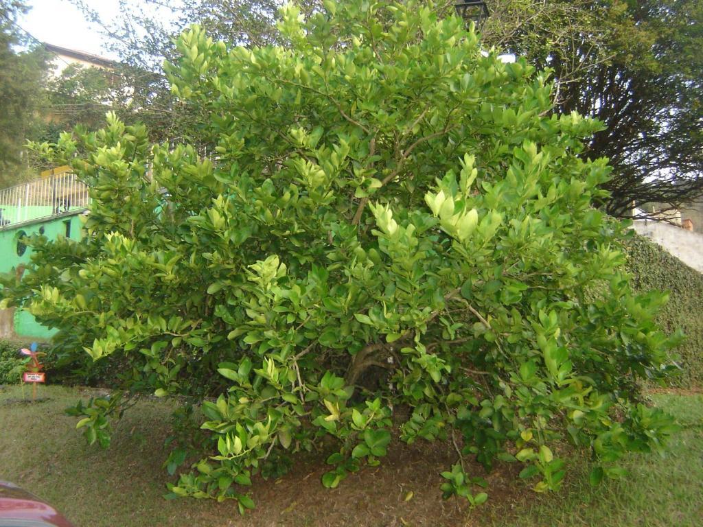Pousada Xato Miguel Pereira Luaran gambar